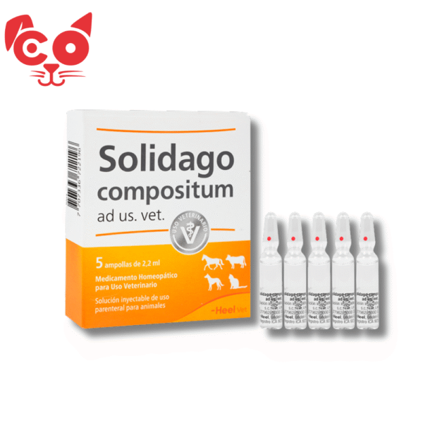 SOLIDAGO X 5 AMPOLLAS