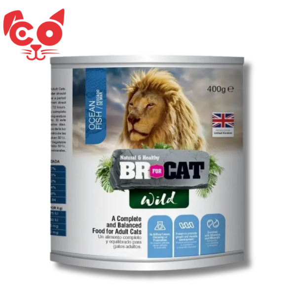 LATA BR WILD FOR CAT PESCADO 400 G