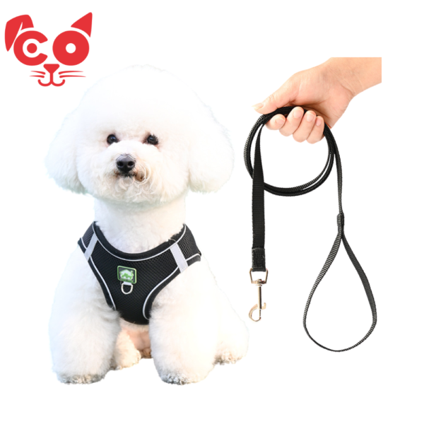 COLLAR TIPO PECHERA CON TRAILLA GABE PETS
