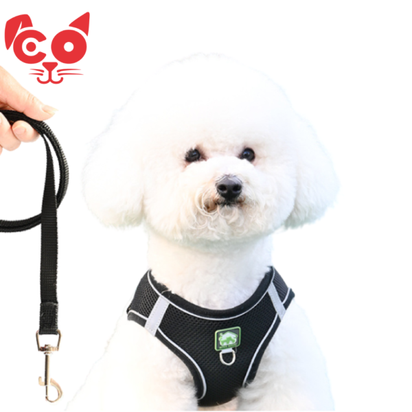 COLLAR TIPO PECHERA CON TRAILLA GABE PETS
