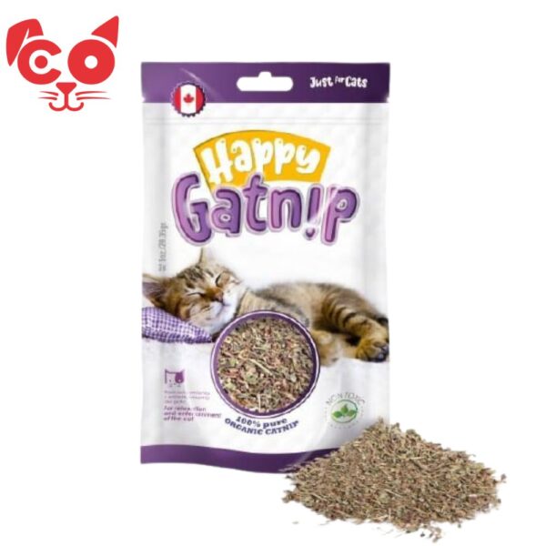 HAPPY GATNIP 28 G