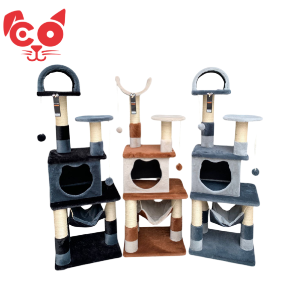 GIMNASIO CARA DE GATO R035