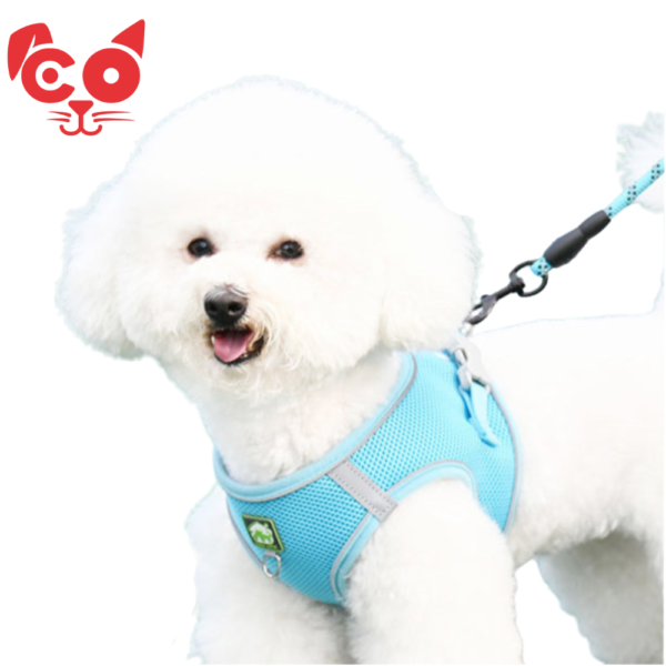 COLLAR TIPO PECHERA CON TRAILLA REFLECTIVA Y MANGO DE GOMA GABE PETS