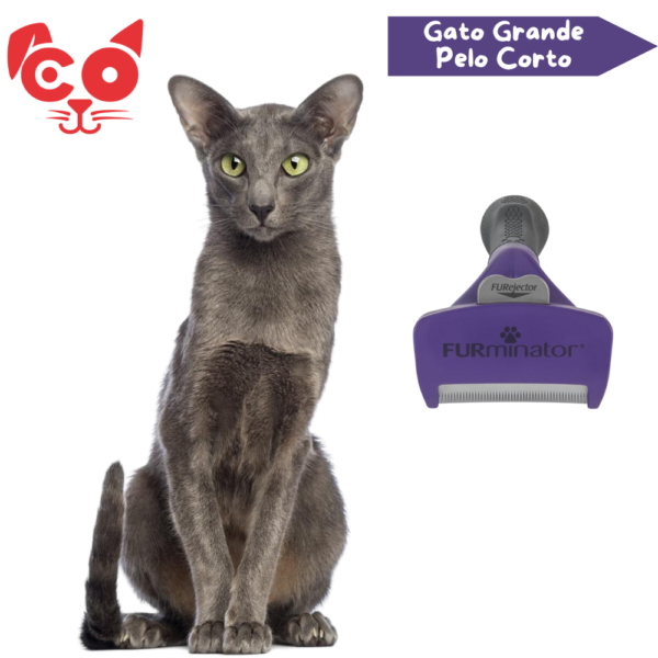 CEPILLO FURMINATOR GATO GRANDE PELO CORTO