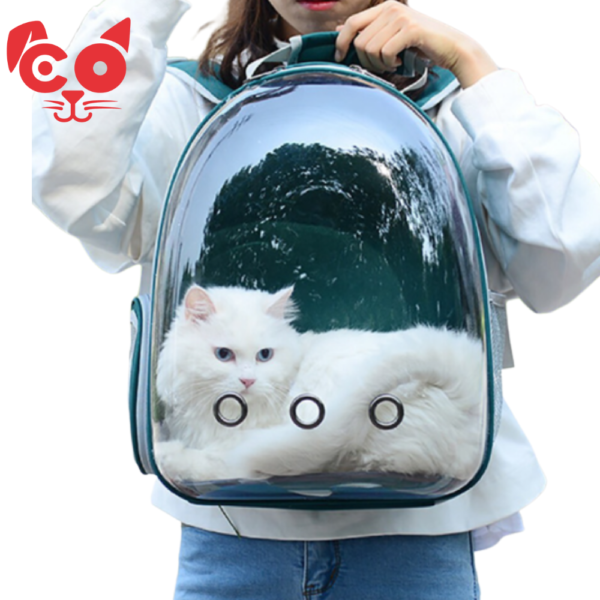 CARGADOR TIPO MORRAL TRANSPARENTE