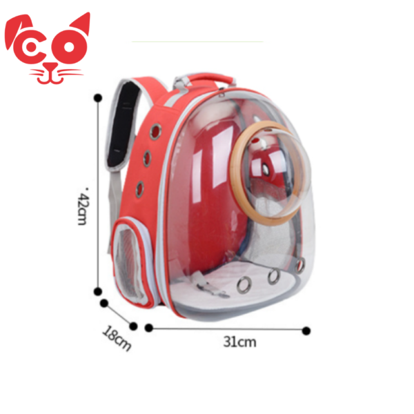 CARGADOR TIPO MORRAL BURBUJA TRANSPARENTE