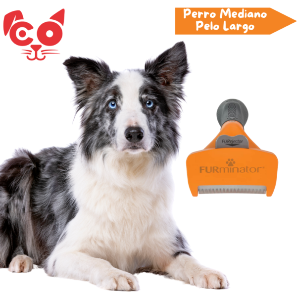 CEPILLO FURMINATOR PERRO MEDIANO PELO LARGO