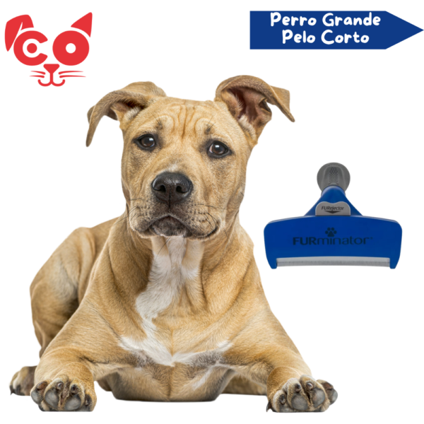 CEPILLO FURMINATOR PERRO GRANDE PELO CORTO