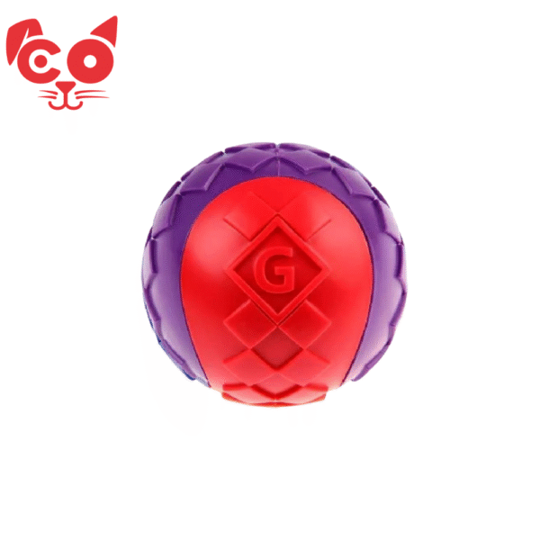 PELOTA GIGWIBALL SQUEAKER X2 TALLA M