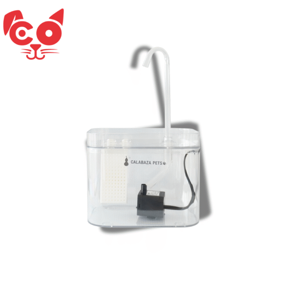 FUENTE F29 SKY CON FLUJO ALTO