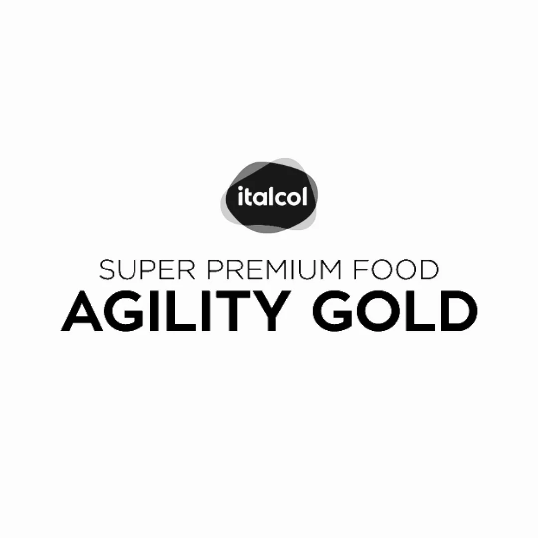 agility-gold