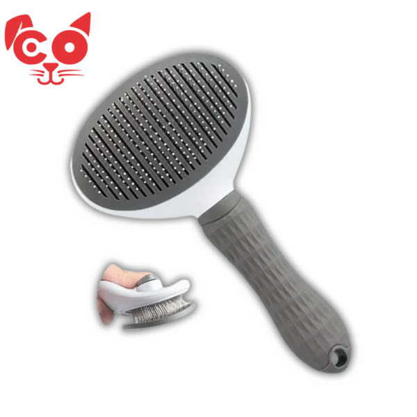 CEPILLO AUTOLIMPIANTE MANGO DE GOMA