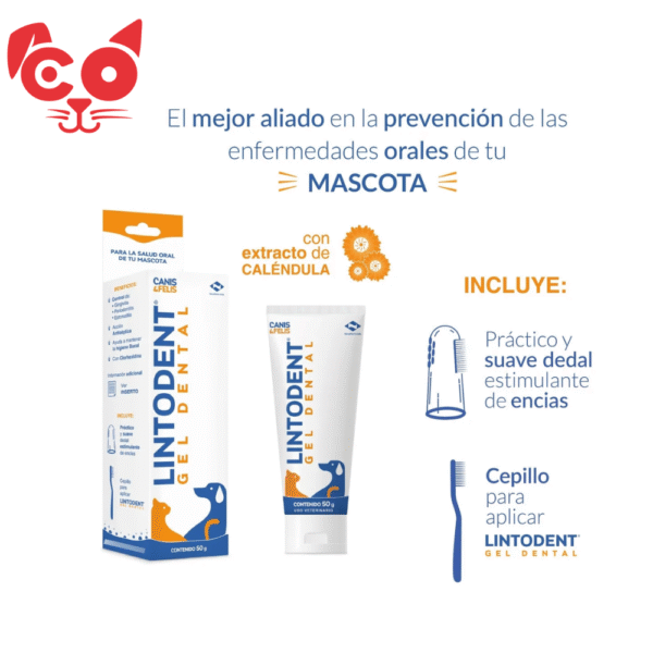 GEL DENTAL X 50 ML