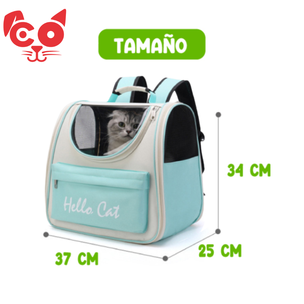 CARGADOR TIPO MORRAL HELLO CAT - Image 2