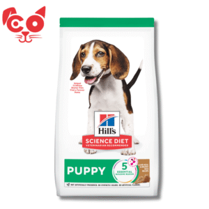 HILLS ALIMENTO PARA PERRO PUPPY LAMB RICE OB 4 LB