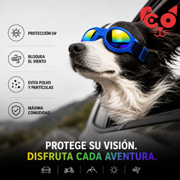 GAFAS PROTECTORAS DE VIENTO PARA MASCOTA