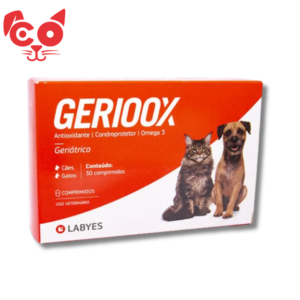 1 GERIOOX