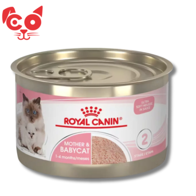 LATA ROYAL CANIN MOTHER & BABY CAT 145GR