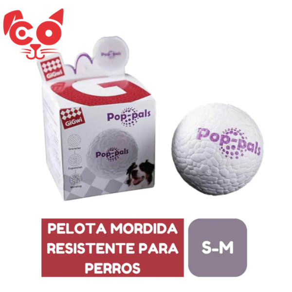 71 PELOTA POP PALS