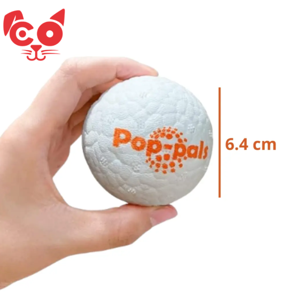 72 PELOTA POP PALS