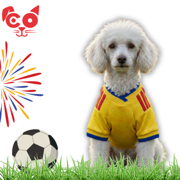 CAMISETA SELECCION COLOMBIA 2026