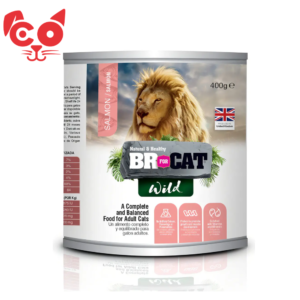 LATA BR WILD FOR CAT SALMON 400 G