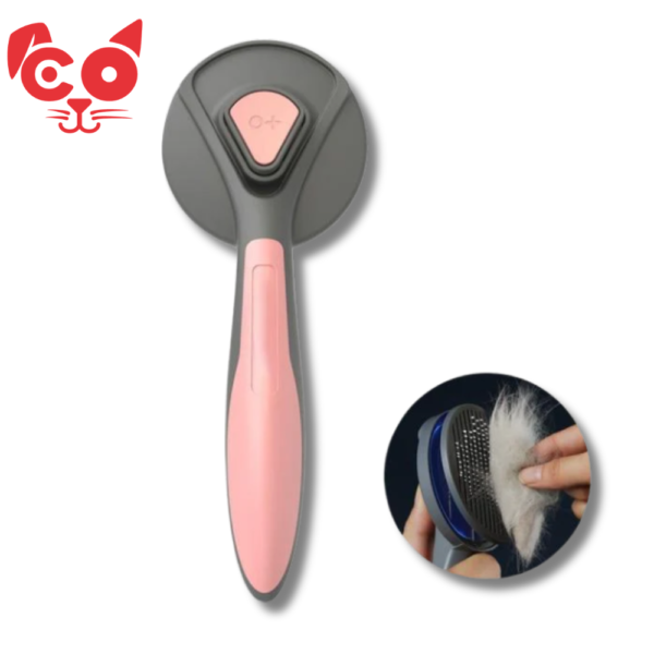 237 CEPILLO CON BOTON DE LIMPIEZA