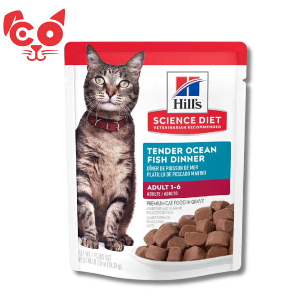 POUCH HILLS F ADULT TENDER OCEAN FISH 79G