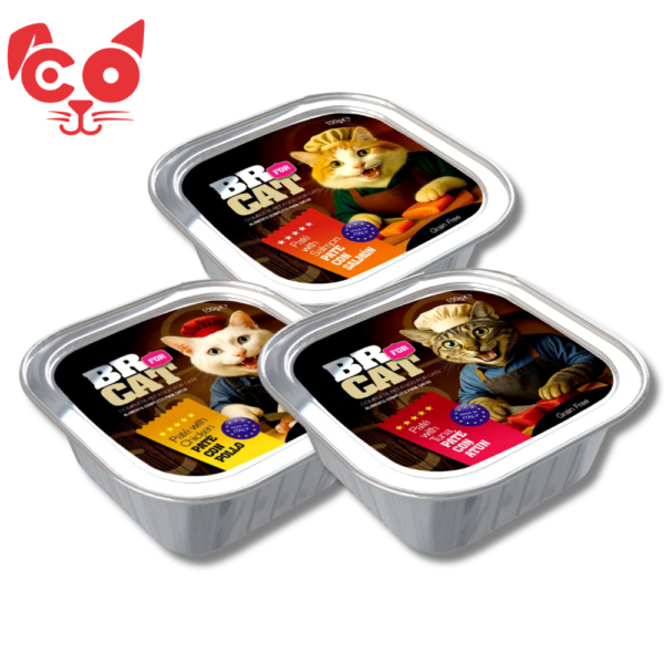 Pates BR FOR CAT PATE