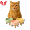 COMEDERO EN FORMA DE DONA CON SOPORTES