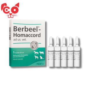 74 BERBEEL HOMACCORD X5 AMPOLLAS