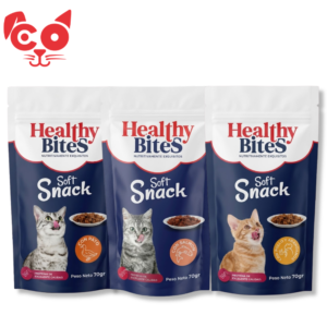 249 HEALTHY BITES SOFT SNACK 70GR