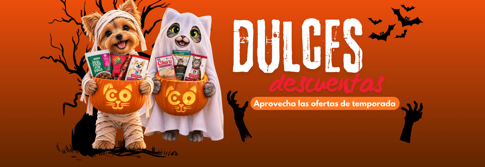 Promoción 1