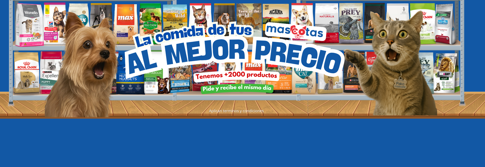 Promoción 3